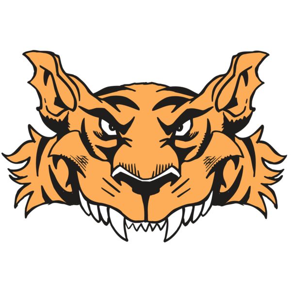 AR5 Tiger 07 RQC Thumbnail