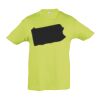 SOL'S Kids Regent T-Shirt Thumbnail